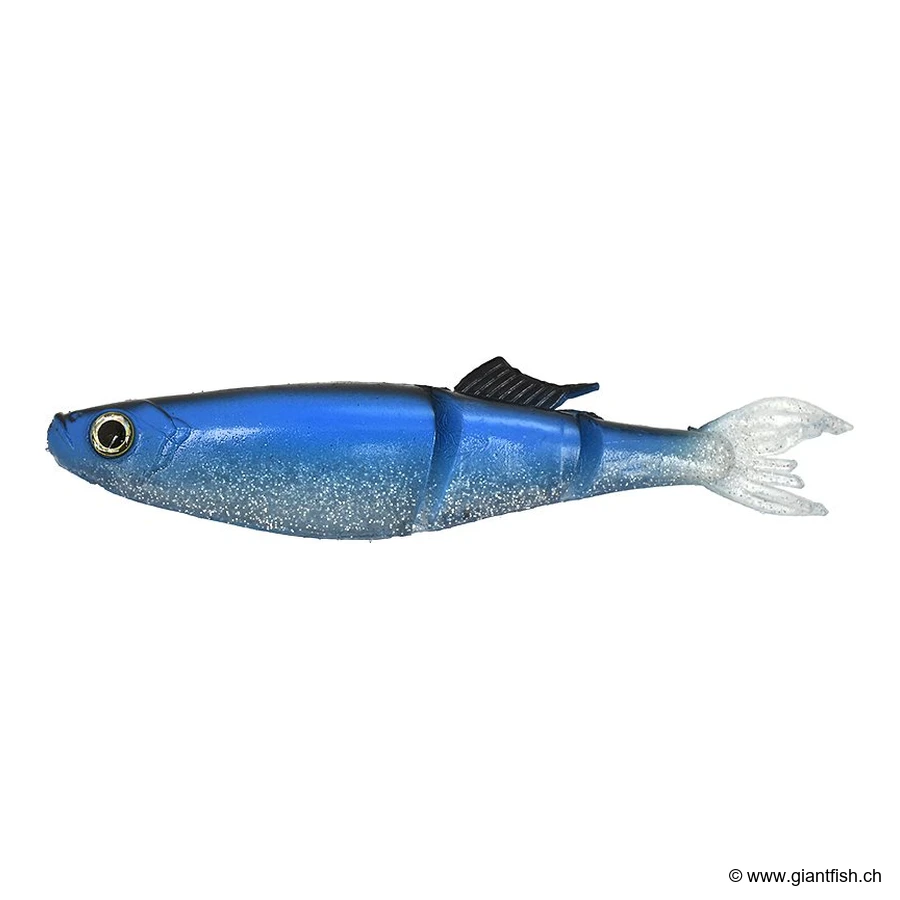 Dorado Herring