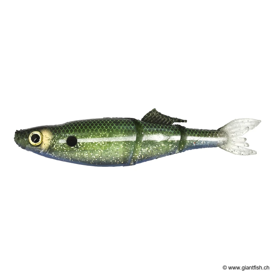 Glass Minnow