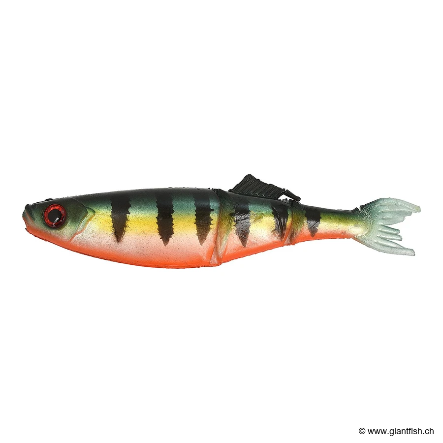 Red Fin Perch