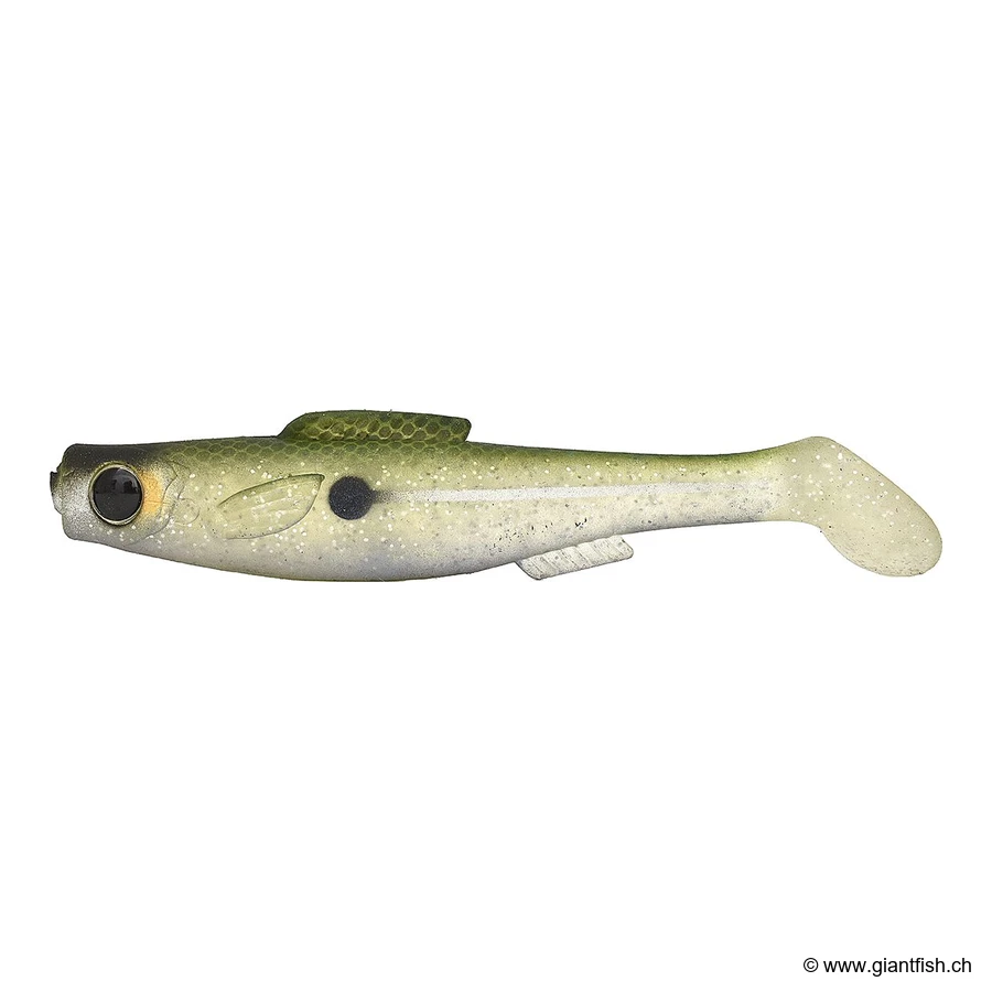 Glass Minnow