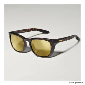 LUNETTES GOLD FISH TROUT GOLD IRIDIUM - FRAME BROWN TURTLE DARK