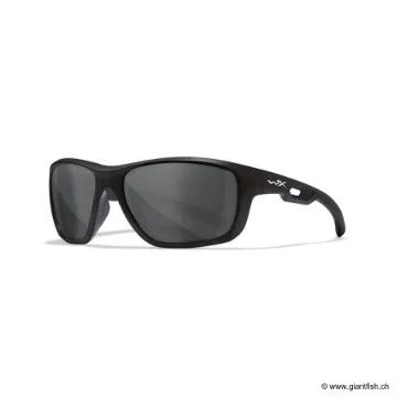 LUNETTES ASPECT SMOKE GREY / MATTE BLACK FRAME (ACASP01