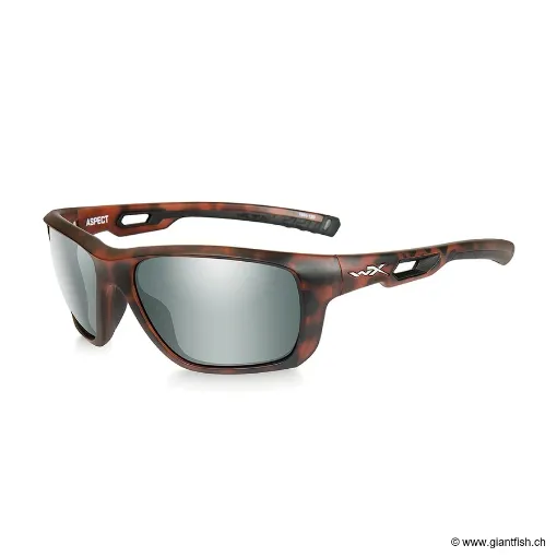 LUNETTES ASPECT POLARIZED PLATIMUM FLASH / MATTE DEMI FRAME (ACASP06