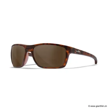 LUNETTES KINGPIN BROWN / MATTE DEMI FRAME (ACKNG02