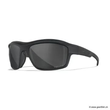 LUNETTES OZONE CAPTIVATE SMOKE GREY MATTE BLACK FRAME (CCOZN08