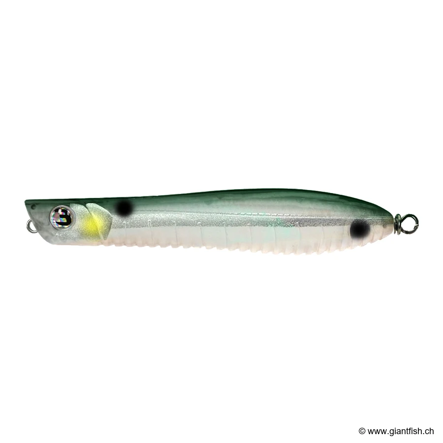 Glass Minnow